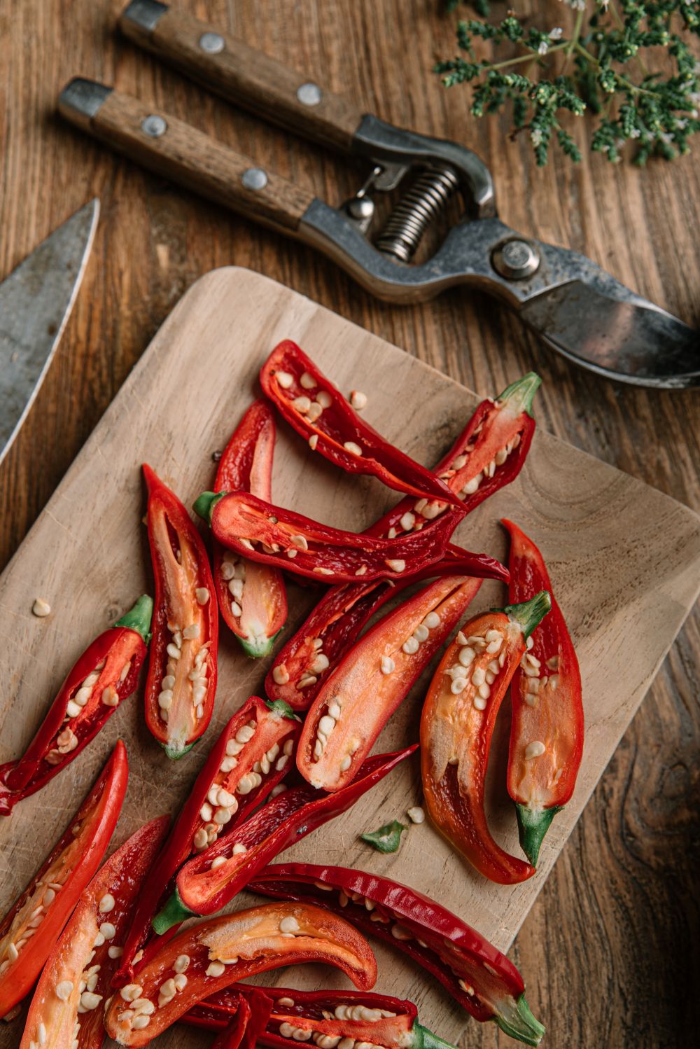 Chilli Oil-1